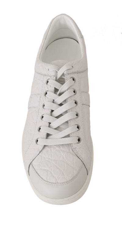 Dolce & Gabbana White Caiman Crocodile Sneaker Shoes